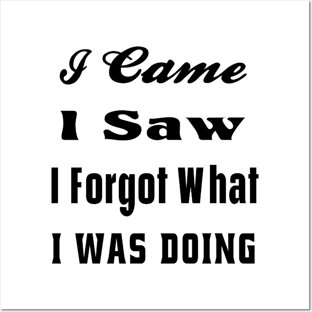 I Came I Saw I Forgot What I Was Doing Funny Quote Wall Art by semsim